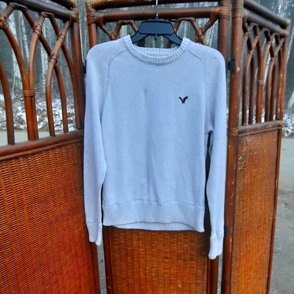 American Eagle Outfitters Other - 🍀3/15 American Eagle Outfitters Men's Sweater🦅